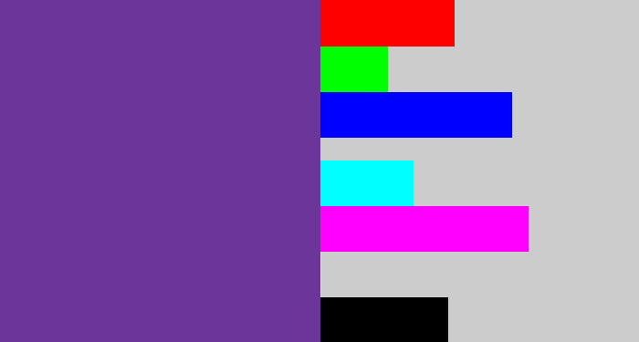 Hex color #6c3599 - purple