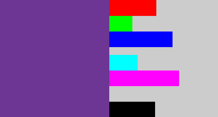 Hex color #6d3594 - purple