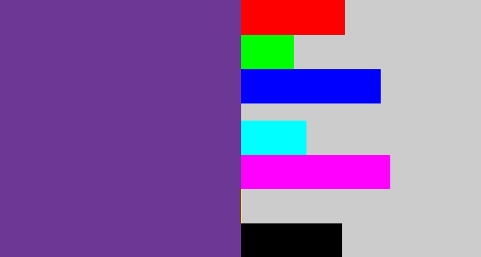 Hex color #6d3895 - purple