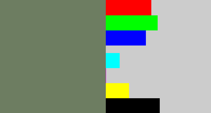Hex color #6d7d61 - slate green