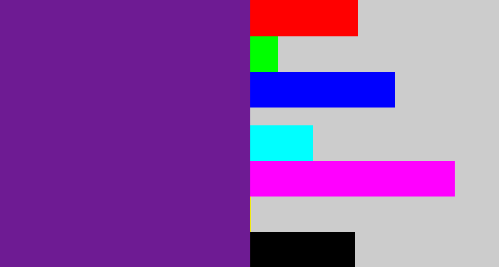 Hex color #6e1b93 - purple
