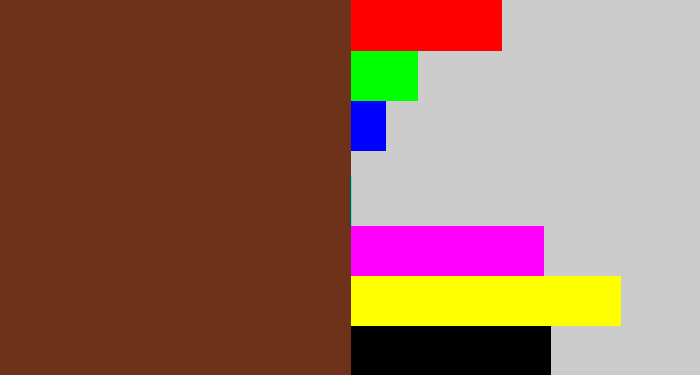 Hex color #6e3119 - reddish brown
