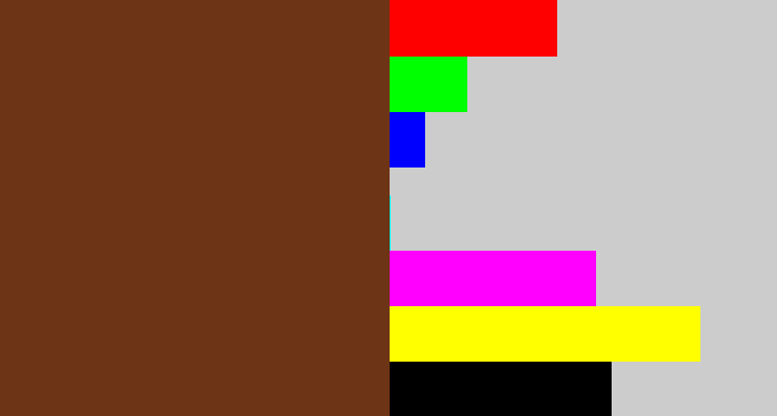 Hex color #6e3416 - reddish brown
