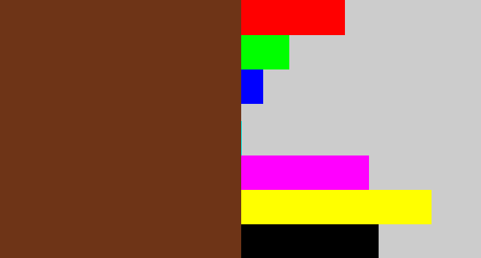 Hex color #6e3417 - reddish brown