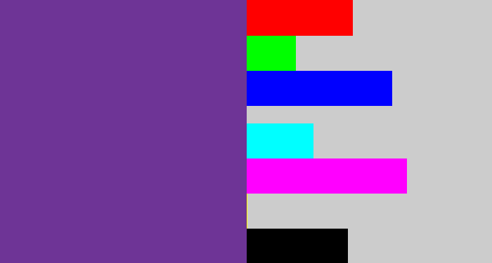 Hex color #6e3496 - purple