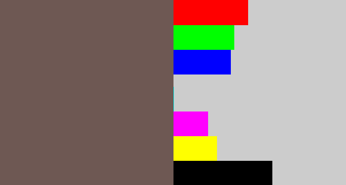 Hex color #6e5853 - greyish brown