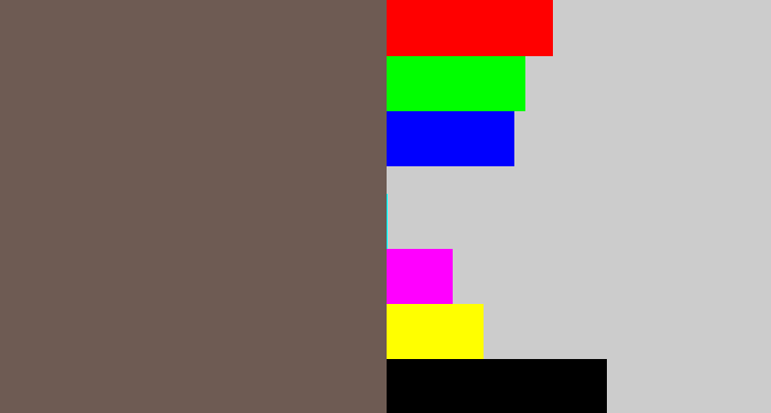 Hex color #6e5b53 - greyish brown
