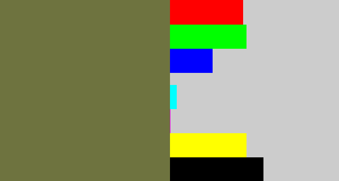 Hex color #6e733f - military green