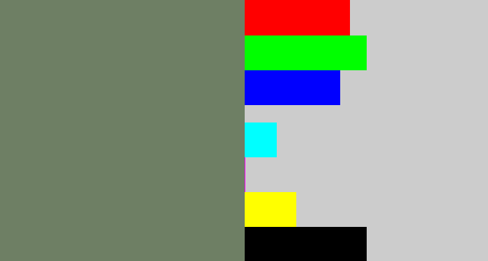Hex color #6e7f64 - slate green