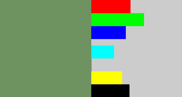 Hex color #6e9361 - moss