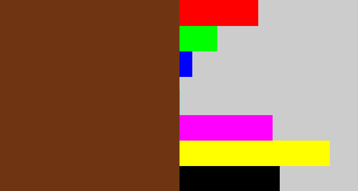 Hex color #6f3512 - reddish brown