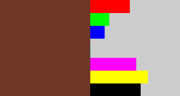 Hex color #6f3628 - purple brown