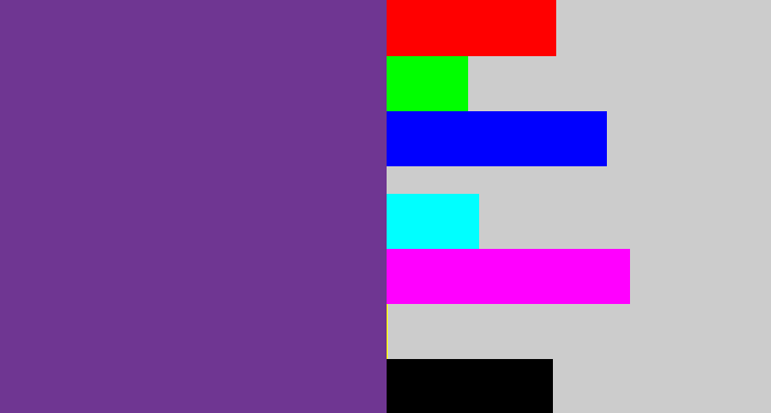 Hex color #6f3692 - purple