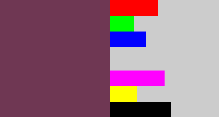 Hex color #6f3753 - brownish purple
