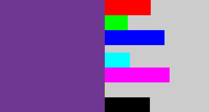 Hex color #6f3792 - purple