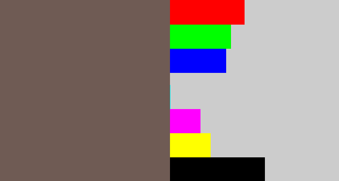 Hex color #6f5b54 - greyish brown