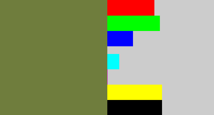 Hex color #6f7d3d - military green