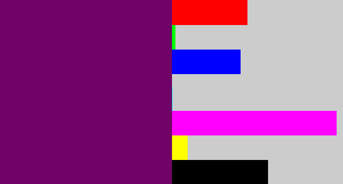 Hex color #700466 - rich purple