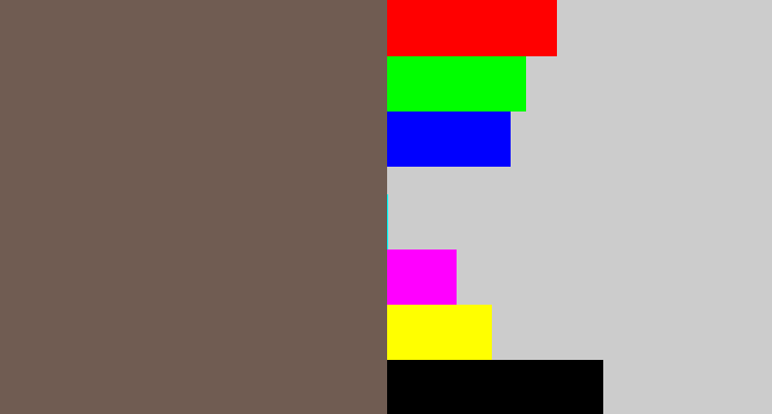 Hex color #705c52 - greyish brown