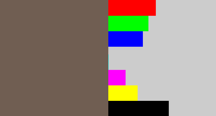 Hex color #705e52 - greyish brown