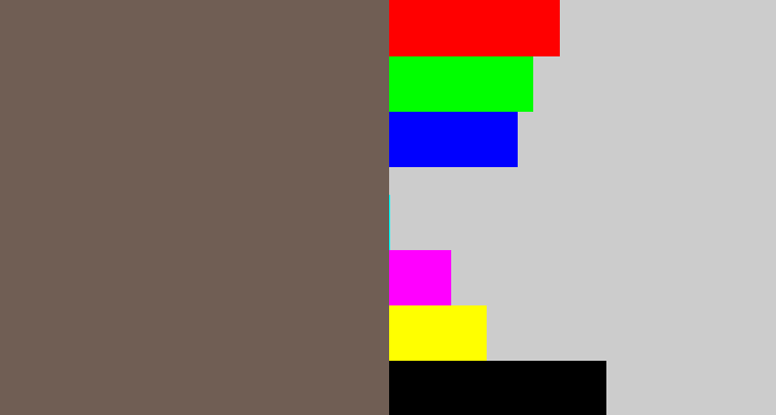 Hex color #705e54 - greyish brown