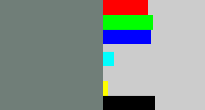 Hex color #707e78 - medium grey