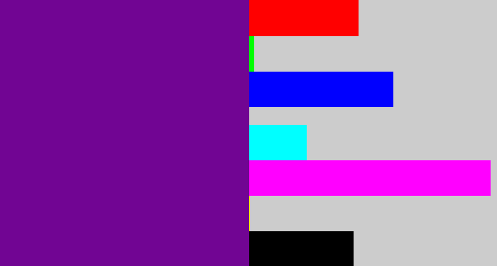 Hex color #710593 - purple
