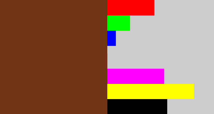Hex color #713515 - reddish brown