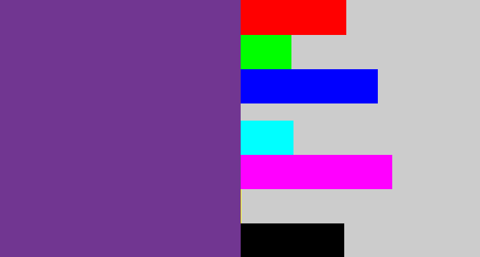 Hex color #713691 - purple
