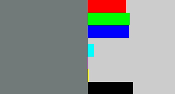 Hex color #717a79 - medium grey