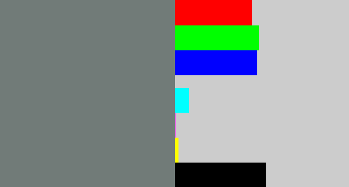 Hex color #717b78 - medium grey