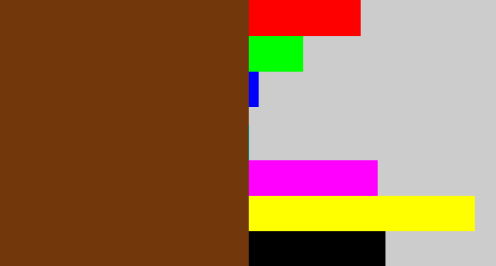 Hex color #72370a - brown