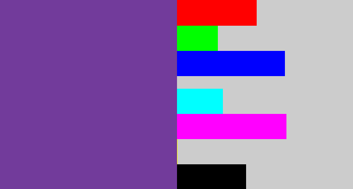 Hex color #723b9b - purple