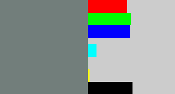 Hex color #727e7b - medium grey