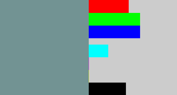 Hex color #729393 - bluish grey