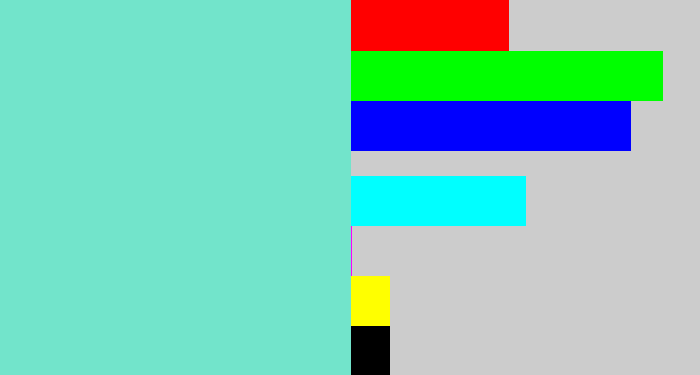 Hex color #72e4cb - light turquoise