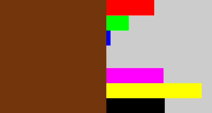 Hex color #73350b - reddish brown