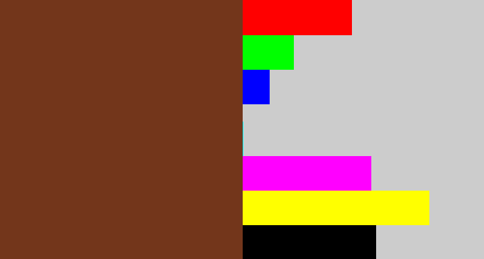 Hex color #73361b - reddish brown