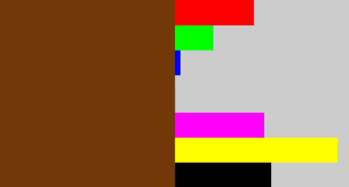 Hex color #733808 - brown