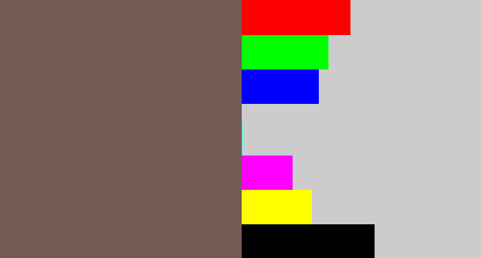 Hex color #735b52 - greyish brown