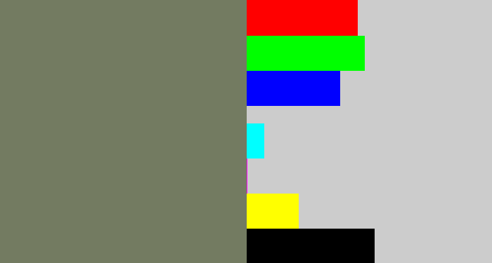 Hex color #737b61 - brownish grey