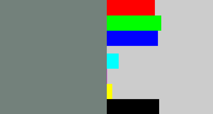 Hex color #73817b - medium grey