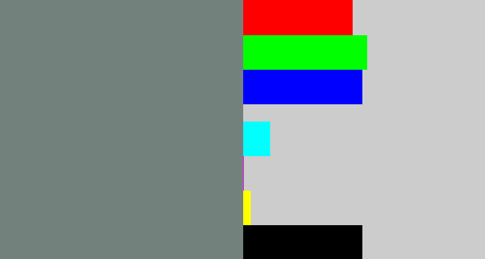 Hex color #73817d - medium grey