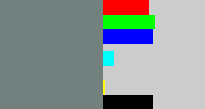 Hex color #73817e - medium grey