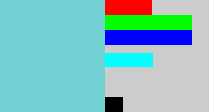Hex color #73d3d4 - seafoam blue