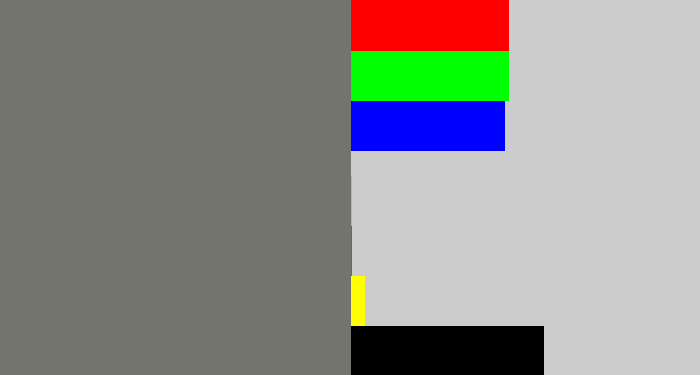 Hex color #74746f - medium grey