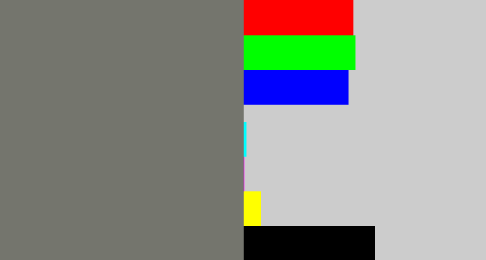Hex color #74756d - medium grey