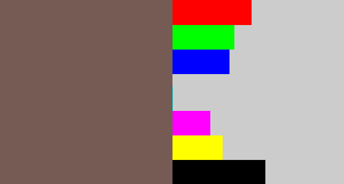 Hex color #755b53 - greyish brown