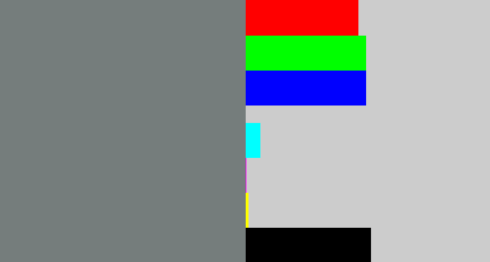 Hex color #757d7c - medium grey