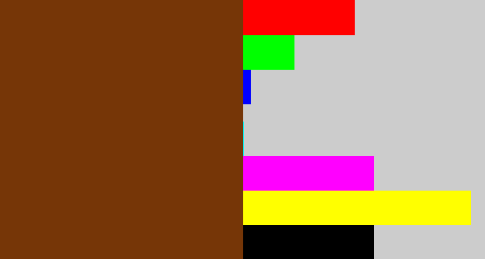 Hex color #763607 - reddish brown